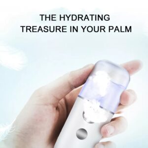 Beauty face spa ionic portable humidifier mini atomizer nebulizer alcohol nano mist sprayer facial steamers