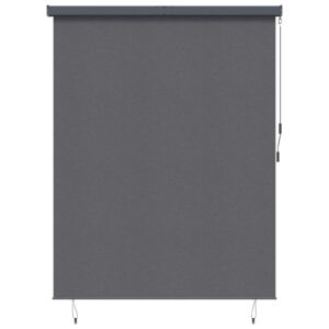Roller Blind Anthracite 220 x 250 cm Fabric and Aluminum