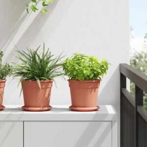 Plant Pots 24 pcs Brick Red Ø 17 x 14 cm Plastic