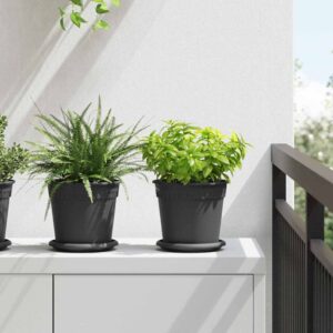 Plant Pots 24 pcs Black Ø 17 x 14 cm Plastic