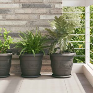 Plant Pots 6 pcs Black Ø 30 x 25 cm Plastic