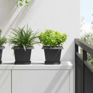 Plant Pots 24 pcs Black 20 x 20 x 16 cm Plastic