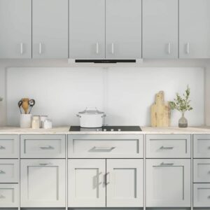 Kitchen Backsplash 2 pcs Transparent 100 x 60 cm Tempered Glass
