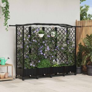 Raised Bed with Trellis and Roof Black 203.5 x 40 x 129 cm PP