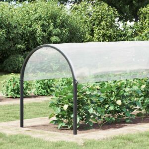 Plant Cover Transparent 2 x 12 m PE