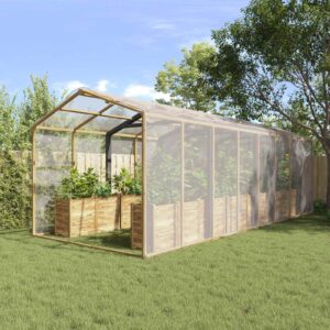 Plant Cover Transparent 6 x 12 m PE