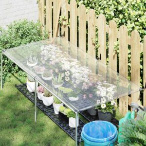 Plant Cover Transparent 2.5 x 1 m PE