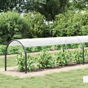 Plant Cover Transparent 6 x 1.5 m PE