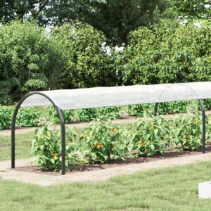 Plant Cover Transparent 20 x 1.5 m PE