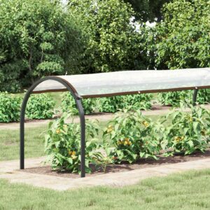 Plant Cover Transparent 10 x 1.5 m PE