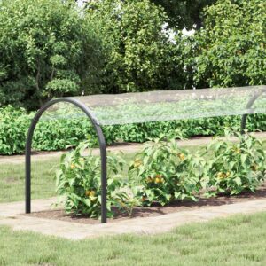 Plant Cover Transparent 10 x 1.5 m PVC