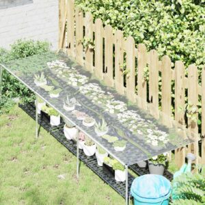 Plant Cover Transparent 2 x 1.5 m PVC